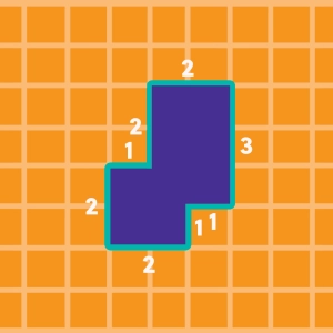 Quiz Perimeter and Area